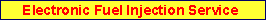 Electronic Fuel Injection Service